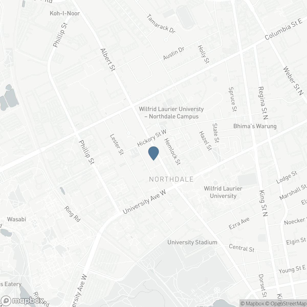 216 - 253 ALBERT STREET, Waterloo, Ontario N2L 0G3